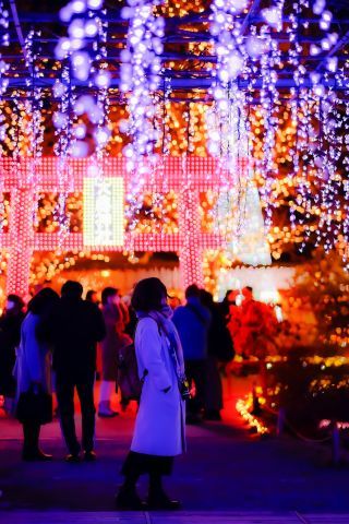 奇蹟の大藤 新年Ver