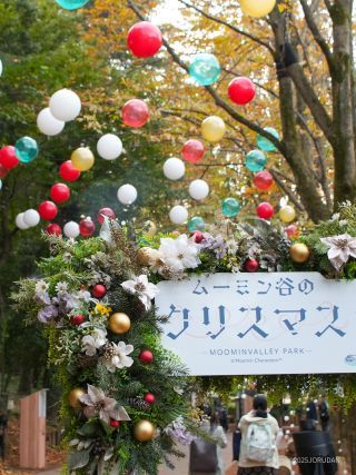 きちんと飾られているのはクリスマスを知っている証拠