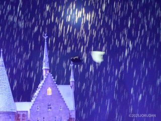 ヘドウィグを見逃すな!