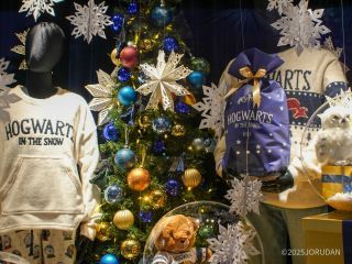 よーくみるとハーマイオニーの姿も?