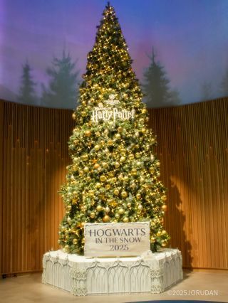 メインシンボルのクリスマスツリー