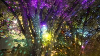 Light Seeds -星が舞うヒカリの世界-