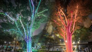 Lucky Neon Art -笑う門には福来る-