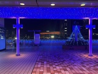 青く輝くイルミネーションで冬景色を楽しむ