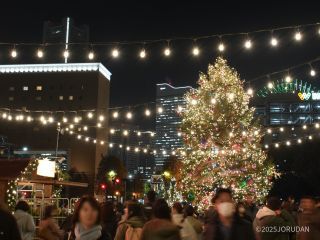 みなとみらいの夜景をバックにクリスマスが楽しめます