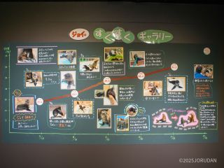 ジョイのすくすくギャラリー