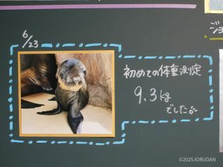 成長記録で心がぽかぽかに