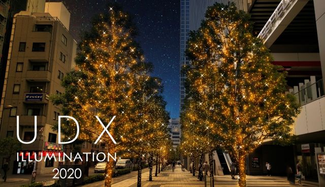UDX Winter Illumination 2020