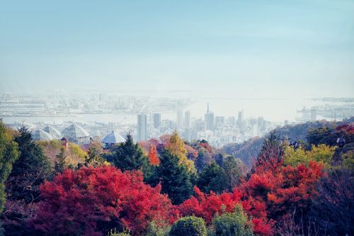 布引の紅葉　見ごろ：11月上旬-12月上旬