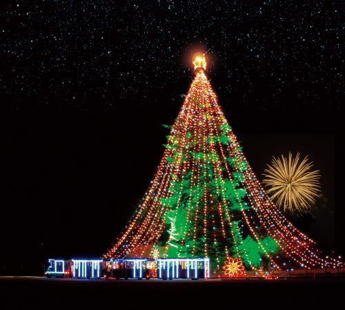 ジャンボクリスマスツリーと花火 ※写真は過去の様子