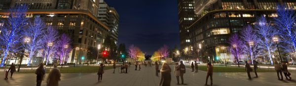 ※丸の内中央広場から行幸通りを見たライトアップイメージ