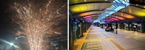 東京臨海広域防災公園・ゆりかもめ