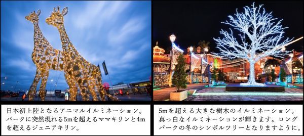 「SENNAN PARK LIGHT UP」×「フェスタ・ルーチェ」ウィンターイルミネーション見どころ１