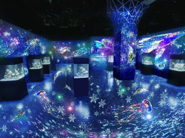 MARINE SNOW DOME　※イメージ