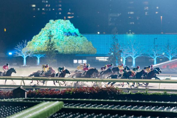 内馬場からのレース観戦（イメージ）