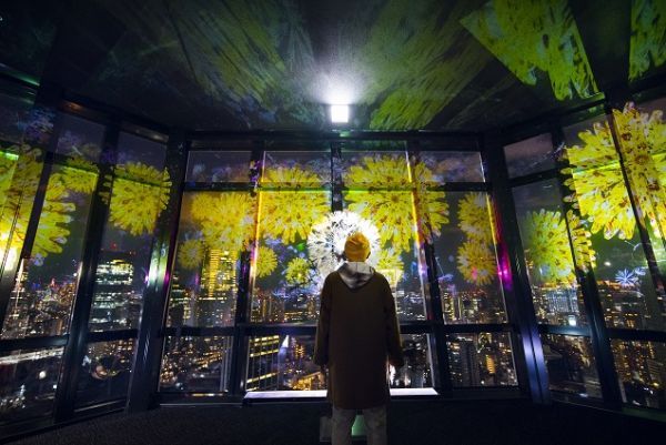 DANDELION PROJECT