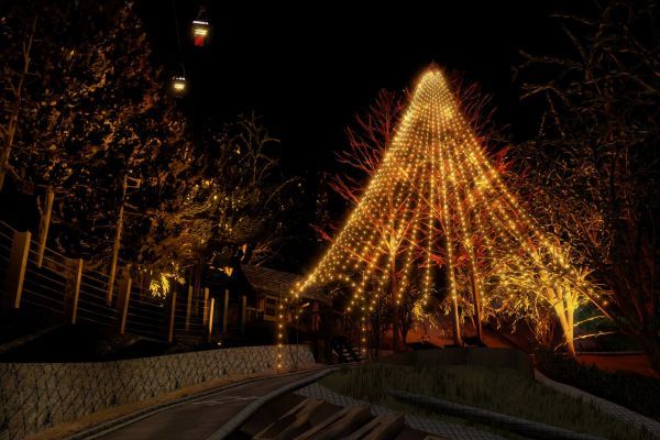 森のクリスマスツリーイメージ