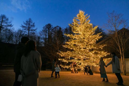 軽井沢星野エリアのクリスマス2022