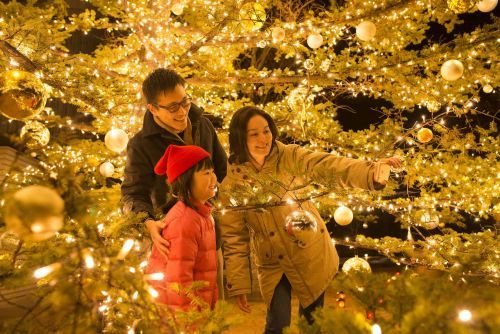 軽井沢星野エリアのクリスマス2022 5