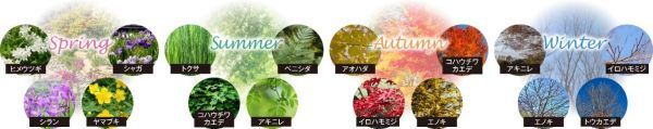 OTEMACHI ONE 四季の自然
