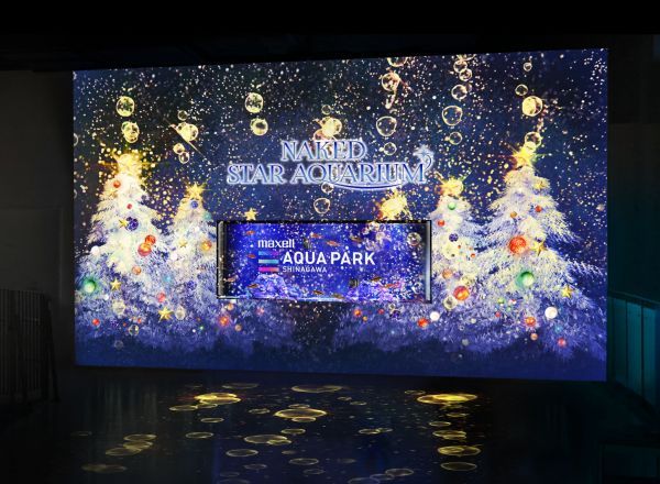 「Welcome Christmas Tree」