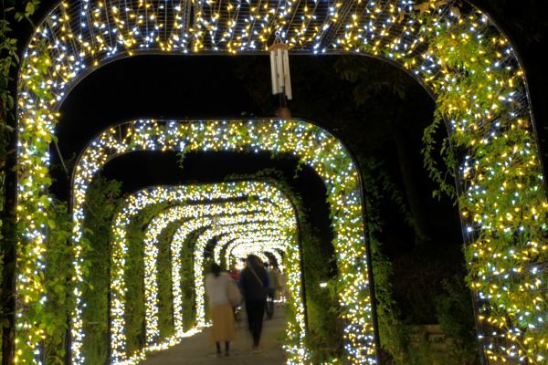 きらめく園内の奥へといざなう「光の回廊」