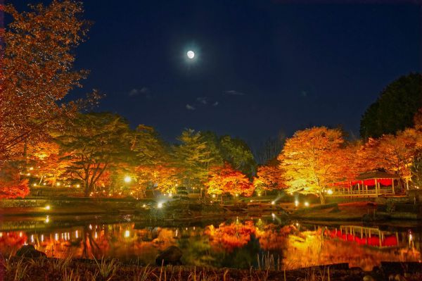 大型イルミネーションと紅葉ライトアップ