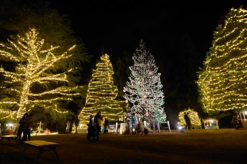 2022年12月9日～25日の期間中の金・土・日には、スターライトイルミネーション開催予定