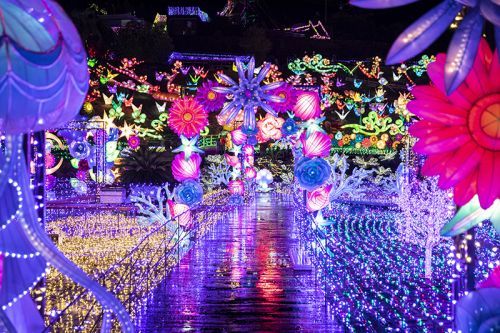 伊豆ぐらんぱる公園 「グランイルミ」