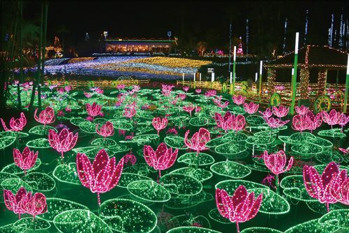 東南植物楽園~沖縄南国イルミネーション~