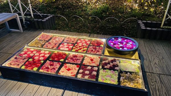 光の花手水もクリスマスバージョンが登場！