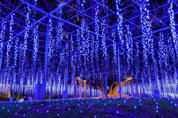 クリスマス仕様のイルミネーション演出3