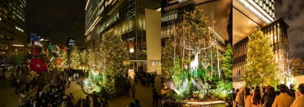 KIOI WINTER FOREST：点灯式