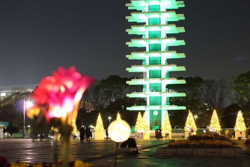 駒沢オリンピック公園「花と光のムーブメント」様子1