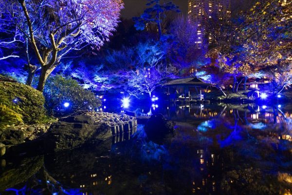 TOKYO BLUE GARDEN WINTER FESTIVAL 2023イメージ