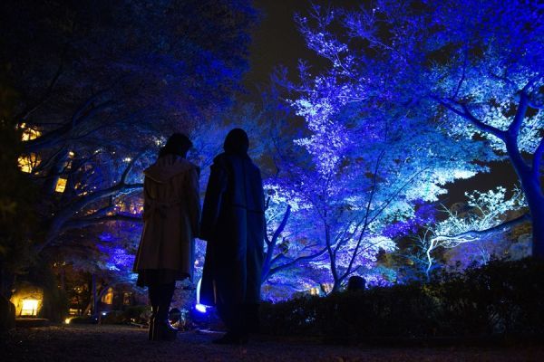 ガーデンライトアップイメージ