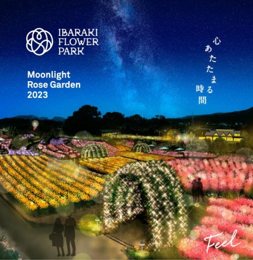 いばらきフラワーパーク】花や自然をやさしい灯りで照らす「Moonlight Rose  Garden」を90日間にわたって開催！幻想的な光の演出で「心あたたまる時間」を｜イルミネーション特集