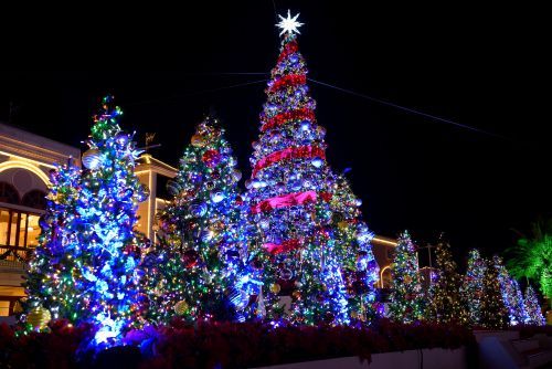 クリスマスツリー※2024年1月8日（月祝）まで開催