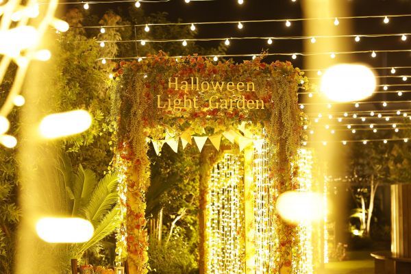 横浜ベイクォーター ハロウィンライトガーデンイメージ１