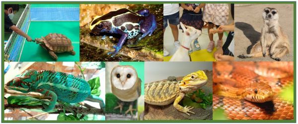 ステスク動物園