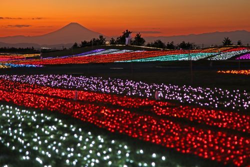 山の上の立地を生かしたイルミネーションイメージ1