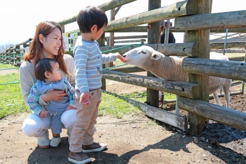 ナイトショー＆動物ふれあいイベントイメージ1