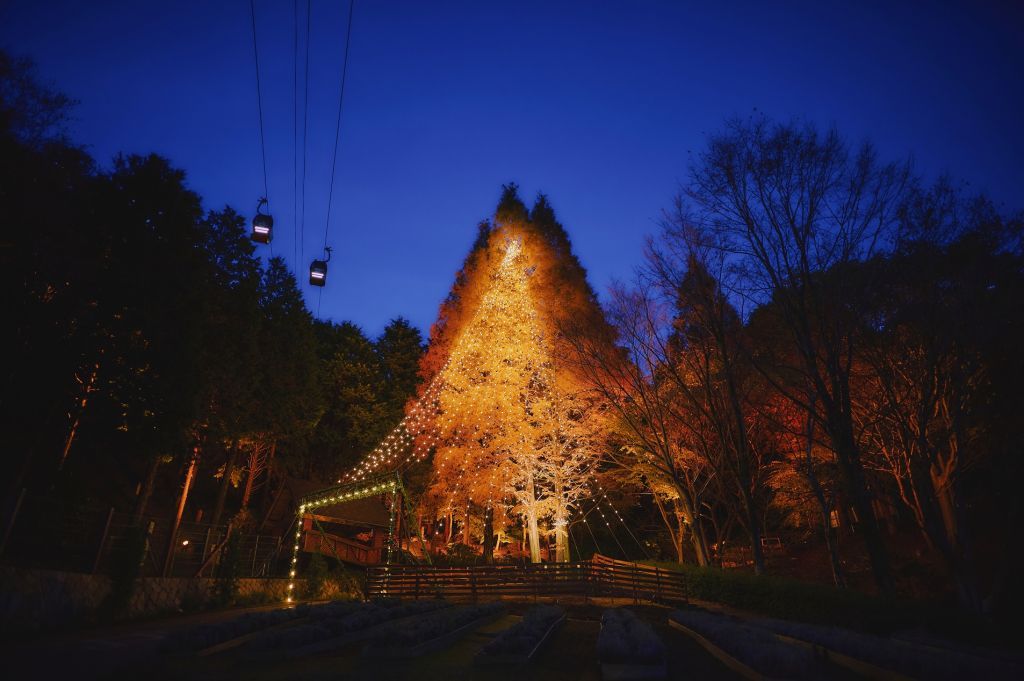 森のクリスマスツリー