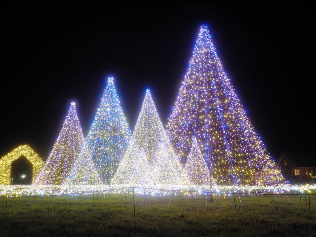 KARUIZAWA PRINCE SHOPPING PLAZA ILLUMINATION2