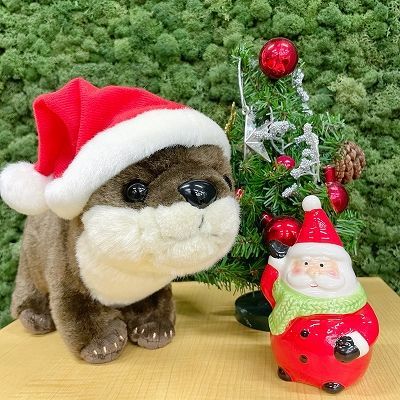 コツメカワウソぬいぐるみクリスマスver. 3,025 円（セット内容：カワウソぬいぐるみ+サンタ帽子）
