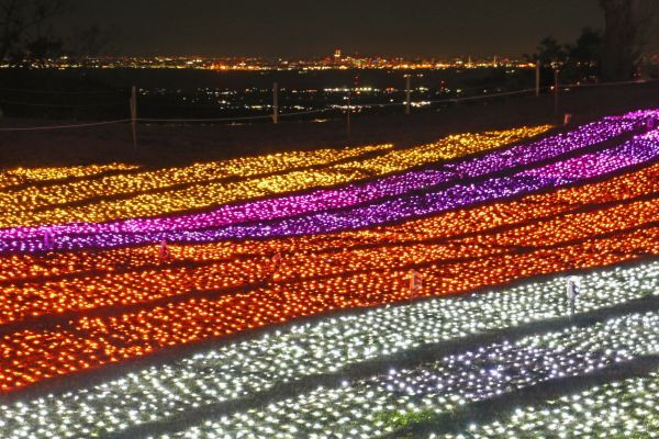 夜景とイルミネーションの競演