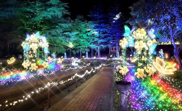 妖精の庭（Fairy Garden）