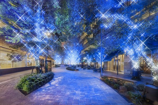 「HIBIYA AREA ILLUMINATION」（昨年の様子）