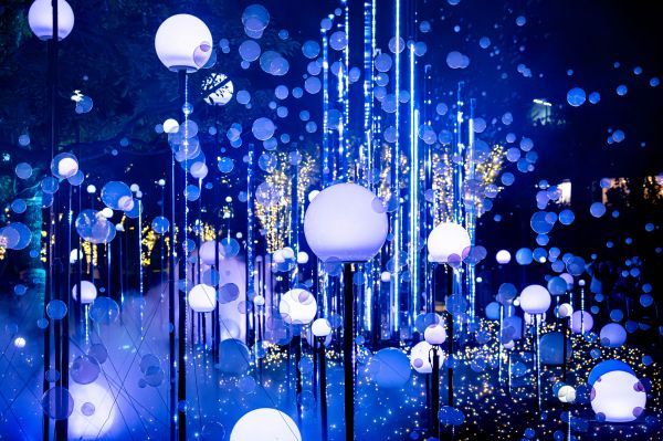 CHRISTMAS GARDEN LIGHTS昨年の様子