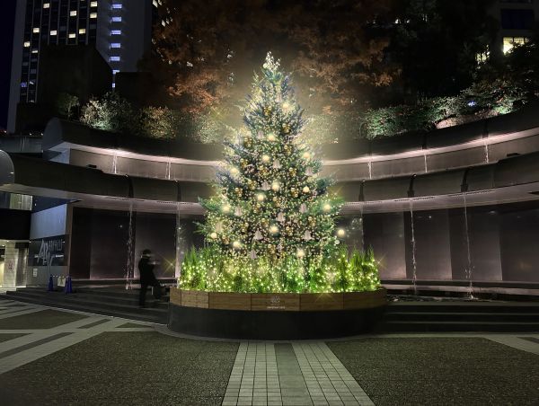 クリスマスツリーイメージ